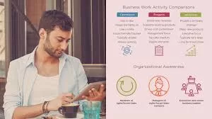The Technical Business Analyst