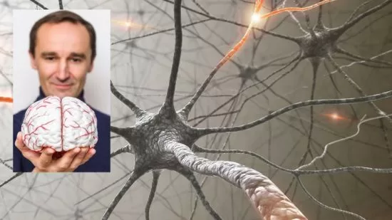 Neuroplasticity How To Rewire Your Brain