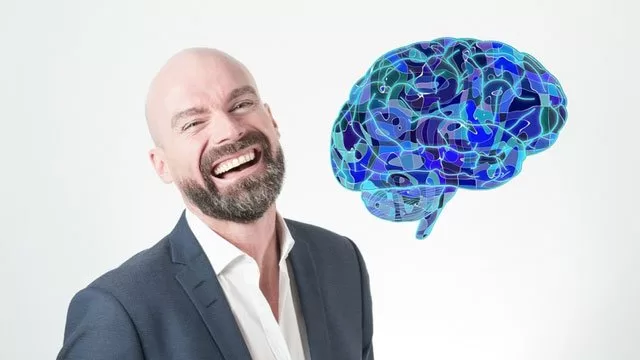 Neuroplasticity Neuroscience Synthesis To Rewire Your Brain