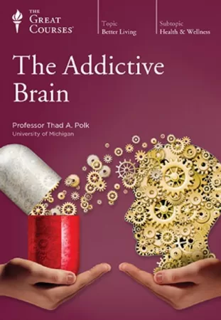 TTC Video The Addictive Brain