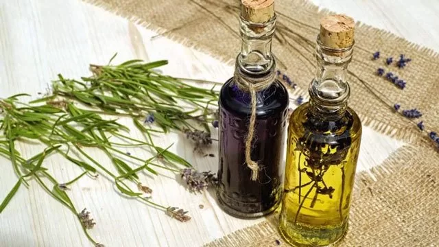 Herbalism Complete Guide To Making Herbal Remedies