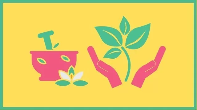 The Complete Guide to Holistic Alternative Healing