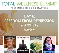 Total Wellness Summit 2016