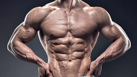 Build Muscle For Beginners Your Guide To Building Muscle