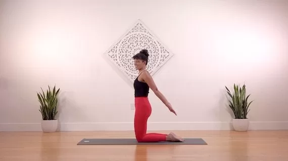 The Collective Yoga Arm Focused Core Strong