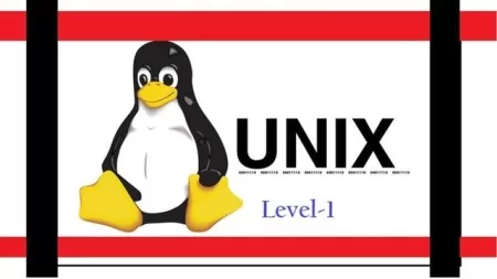 New to Unix Linux Command Learn Step by Step For Beginner