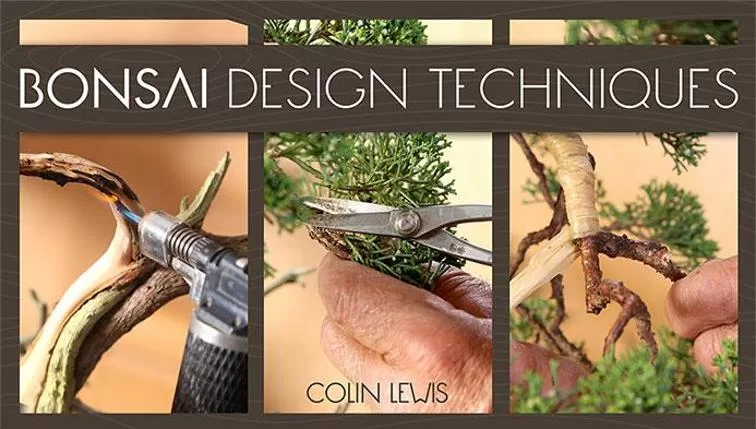 mybluprint Bonsai Design Techniques mybluprint Bonsai Design Techniques