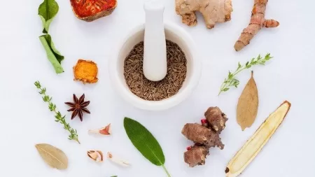 Herbalism A Guide To Basic Herbal Actions