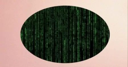 Practical x64 Programming in Assembly The Console