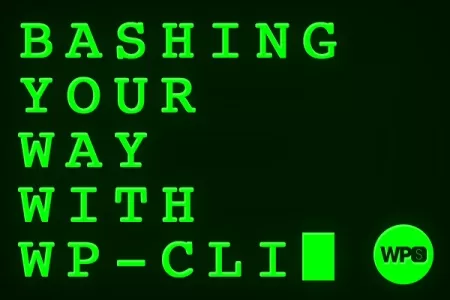 Bashing Your Way with WP CLI