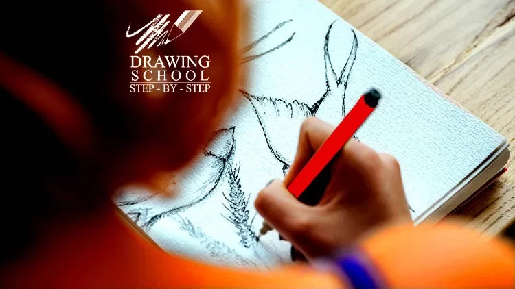 The Ultimate drawing Course All Beginner