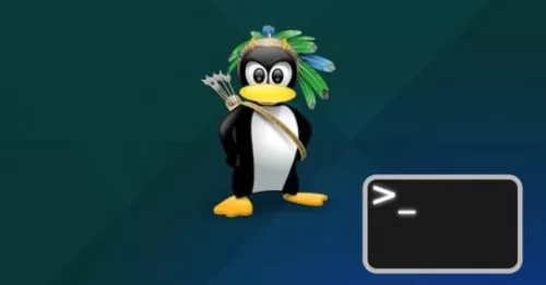 Mastering Linux Command Line with Live Linux Labs