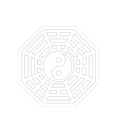 Richard Clear Bagua Intensive 13 DVD Set