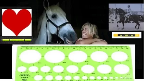 The Bottom Line in Horsemanship