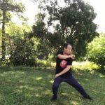 Sparring Tai Chi Chen New Frame Routine 2 for Fitness