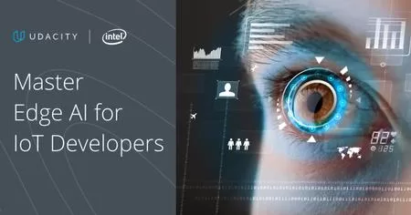 Udacity Intel® Edge AI for IoT Developers 07 2020