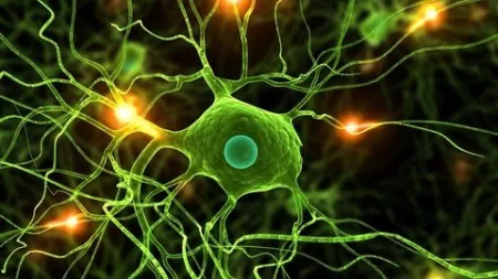 Data Science Deep Learning and Neural Networks in Python updated 3 2021 Data Science Deep Learning and Neural Networks in Python updated 3 2021