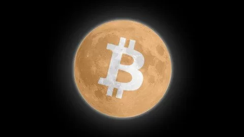 The Simple Bitcoin Course 2021 Update