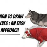 Learn To Draw Wolves An Easy Approach