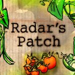 Radars Patch 2010