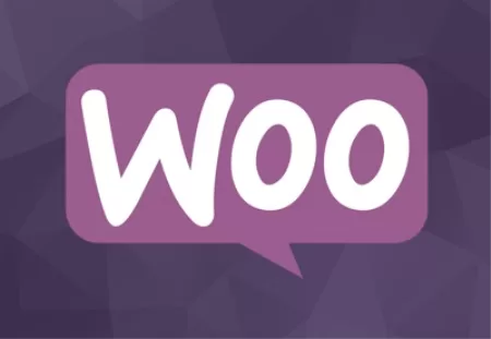 Up and Running With WooCommerce Up and Running With WooCommerce