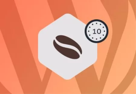 WordPress Coding Basics Enqueuing Scripts and Styles