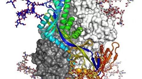 Learn Bioinformatics From Scratch Theory Practical Learn Bioinformatics From Scratch Theory Practical