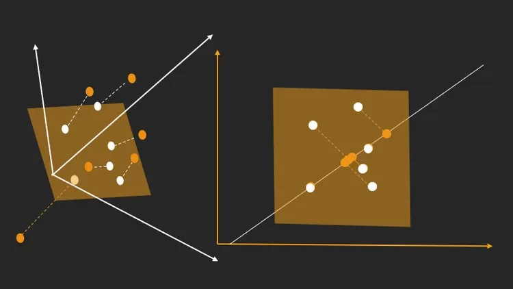 Linear Algebra Beginner Expert Plus Data science Practice Linear Algebra Beginner Expert Plus Data science Practice