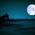 Arabic Writing Course For Beginners