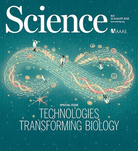 Science Magazine Ultimate Collection 1880 2008