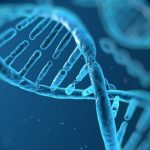 Biotechnology Law GMOs to Designer Babies