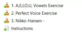 Various Authors Your Perfect Voice