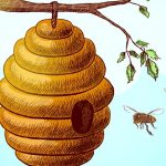 MATLAB Basics Artificial bee colony Optimization Algorithm