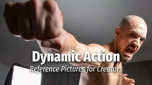 Cubebrush Reference Pictures Dynamic Action