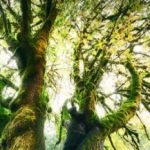 Luminosity Masking in Photoshop by Blake Rudis