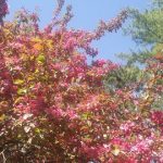 Abstract Algebra Introduction To Group Theory