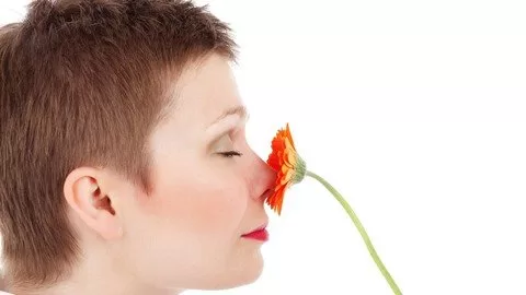 How To Increase Focusing How To Increase Focusing