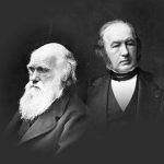 Evolution. A Heterodox View