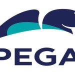 Pega CSA Course