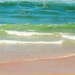 Purify Life Guide To Chemical Free Natural Living