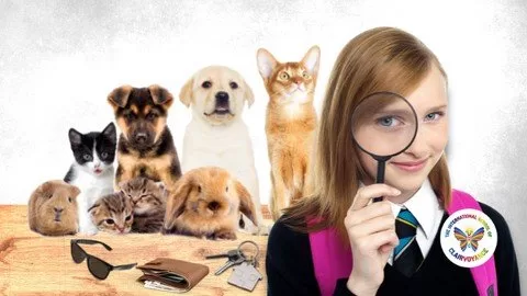 Use Remote Viewing To Find Missing Things Pets People