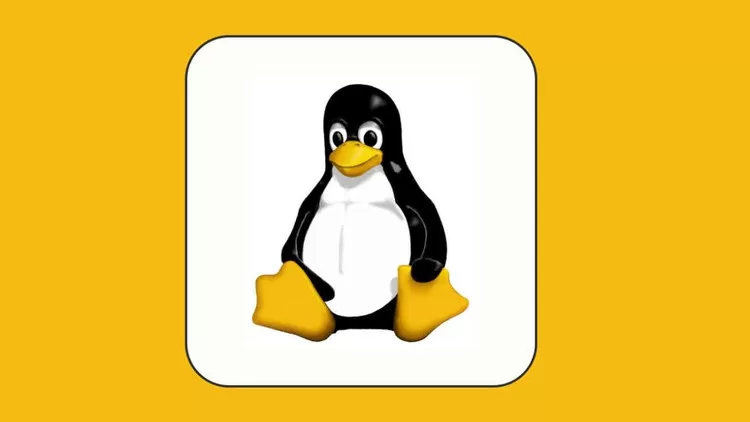 Learn Linux From The Scratch and prepare for Job Interview Learn Linux From The Scratch and prepare for Job Interview