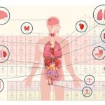 How to Self Balance Heavy Metals