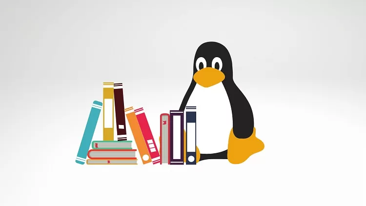 The Basics of Linux Command Line The Basics of Linux Command Line