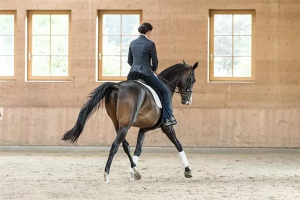 Lateral Movements
