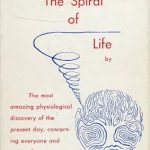 Vivaxis The spiral of life by Frances Nixon And Bessie O'connor