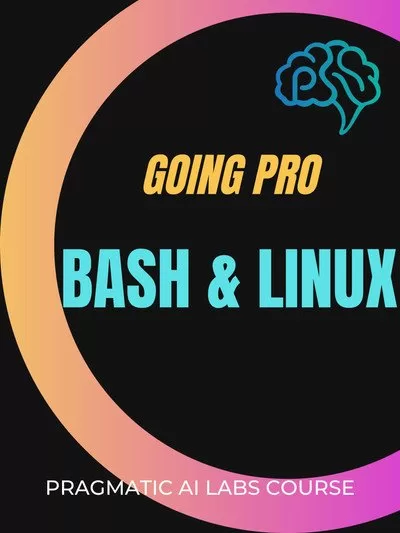 Linux and Bash Going Pro