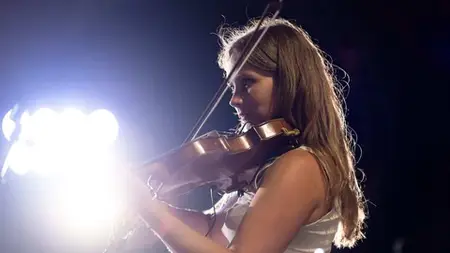 Beginner Violin Course Violin Essentials for Newbies