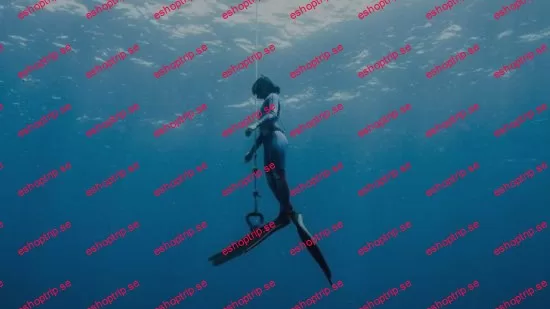 Freediving Essentials Technique, Safety, and Exploration
