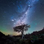 Daniel Kordan Photography - Patagonia Night Sky Panorama Baobab